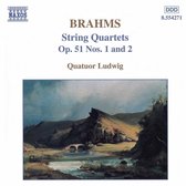 Quatuor Ludwig - String Quartets (CD)