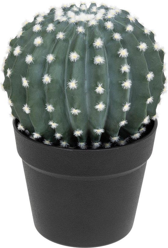 Atmosphera Kunstplant - Cactus met pot - Ø18cm - Groen