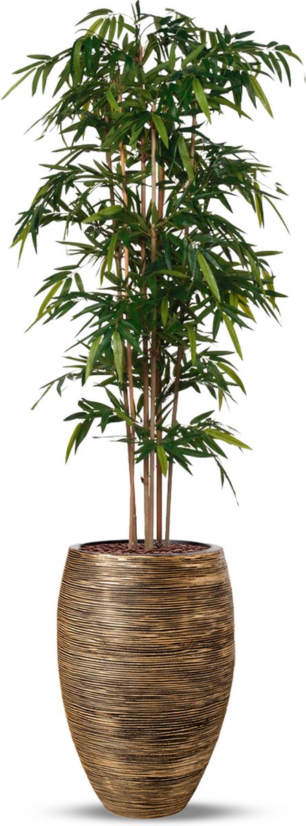 HTT Decorations Kunstplant Bamboe groen in Vaas elegant Deluxe rib zwartgoud H250 cm