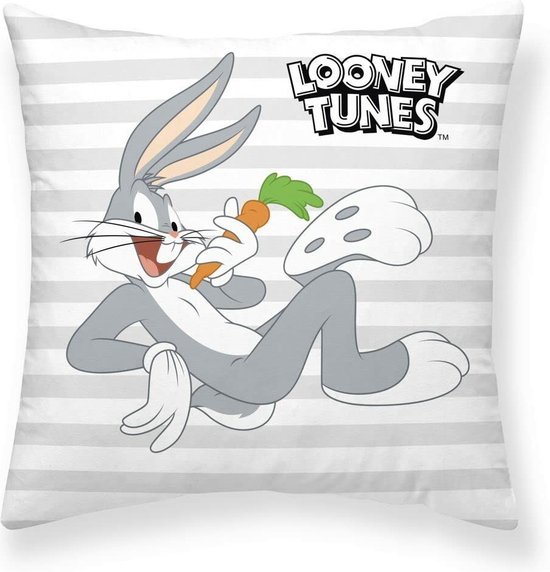 Kussenhoes Looney Tunes Looney Characters A 45 x 45 cm