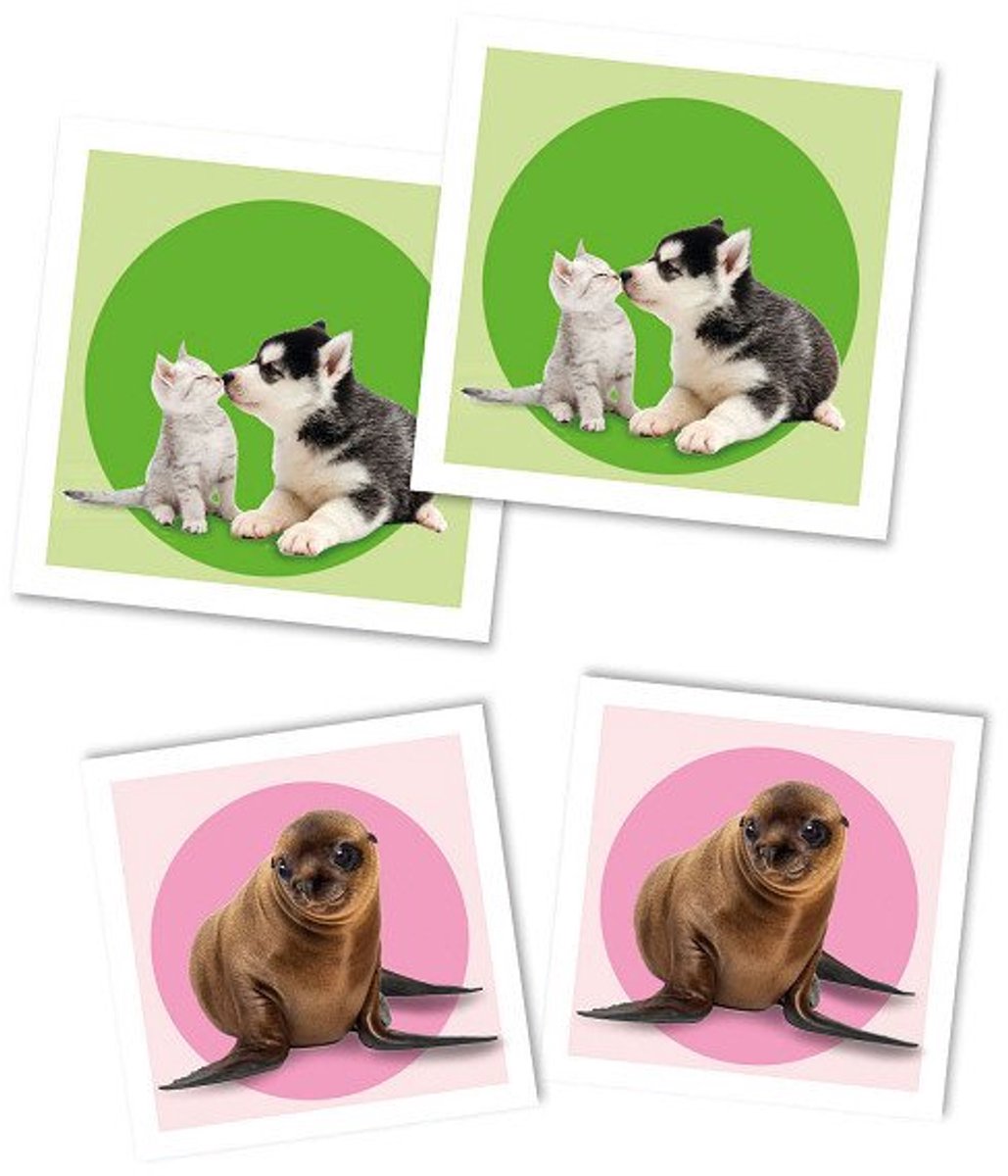 Clementoni - Memory voor kinderen - Baby Dieren - 48 Kaarten - Memory spel - Educatief Speelgoed - Vanaf 2 jaar — afbeelding 11