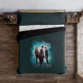 Noorse hoes Harry Potter Lumos Multicolour 200 x 200 cm Bed van 120