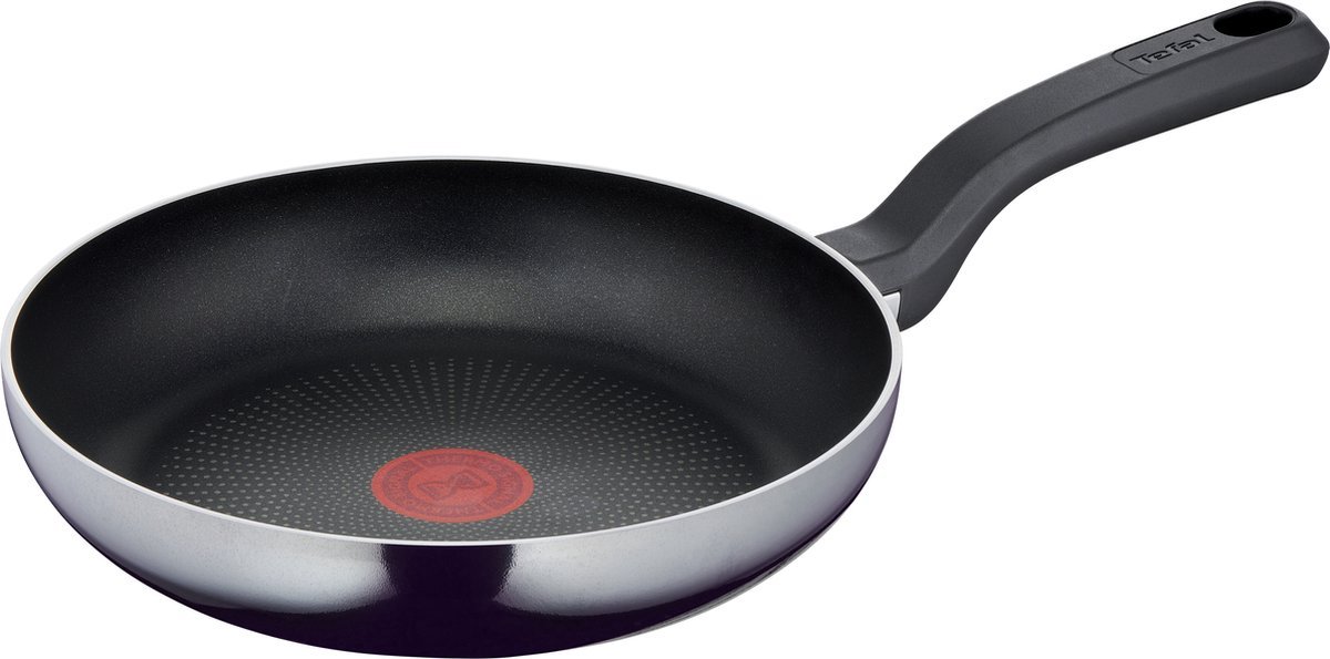 Tefal Resist Intense D5220483 pan Multifunctionele pan Rond - Ø 24 cm