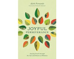 Joyful Perseverance