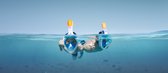 USK Duikmasker Kids en Volwassenen - Full face duikbril met snorkel - snorkelset blauw - snorkelmasker - inclusief GRATIS waterdichte telefoonhoes!