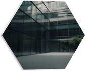 PVC Schuimplaat Hexagon - Gebouw - Glas - Planten - 30x26.1 cm Foto op Hexagon (Met Ophangsysteem)
