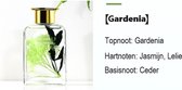 Luchtverfrisser voor thuis/frisse en duurzame geur/aromatherapie/spa/ bad/fintess/ club/ restaurant/winkel 200 ml Gardenia