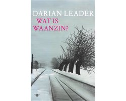 Wat is waanzin?