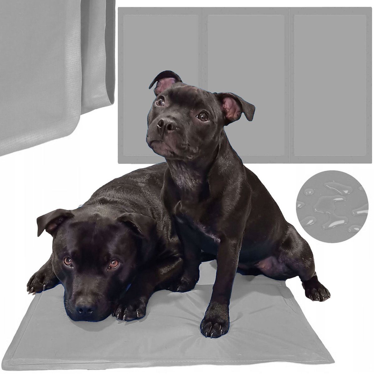 Springos Koelmat Hond | Actieve Verkoelende Gel | 90 x 50 cm | Grijs