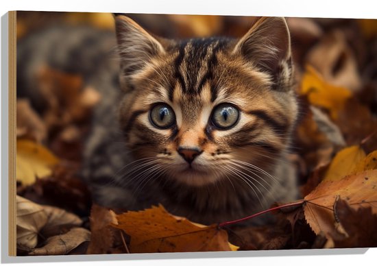 Hout - Kitten - Dier - Bladeren - Herfst - 90x60 cm - 9 mm dik - Foto op Hout (Met Ophangsysteem)