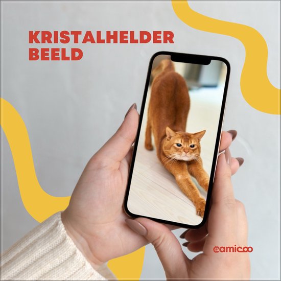 Camicoo® Beveiligingscamera binnen - Huisdiercamera met app - Hondencamera - Petcam - Incl. 32GB SD - Ultra HD 2K 3MP - Eenvoudige Installatie - Volgt beweging en geluidsdetectie - Alexa, Google Assistant en 5GHz compatibel - Indoor camera - Zwart