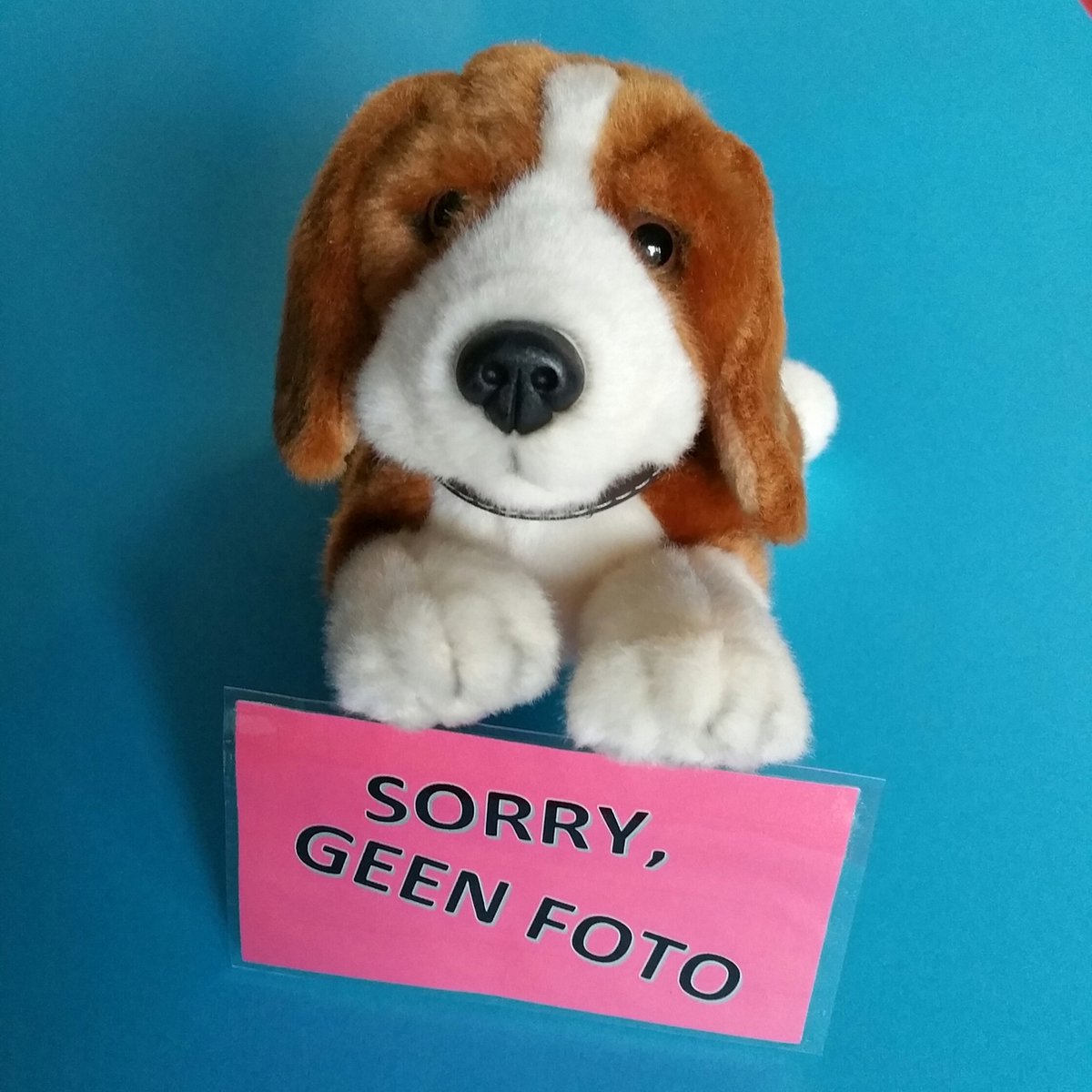 Goedkoopste Pizzakarton / taartkarton / taartbodem 28cm 250 stuks