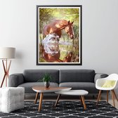 Diamond Painting Paard / Horse Diamond Painting set for adults and children 30x40cm