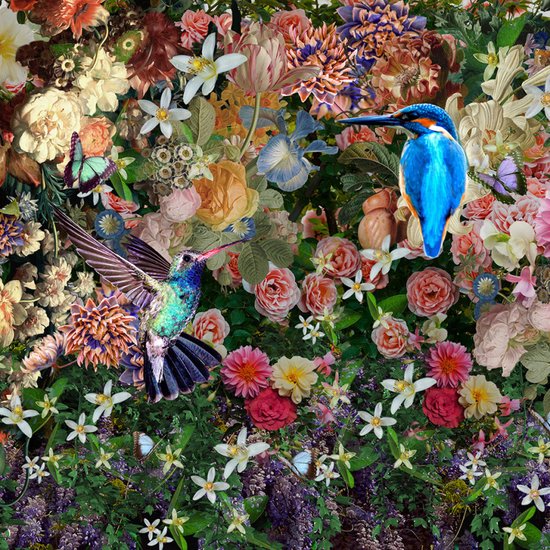 Glasschilderij 80x80x0.4 Hummingbirds
