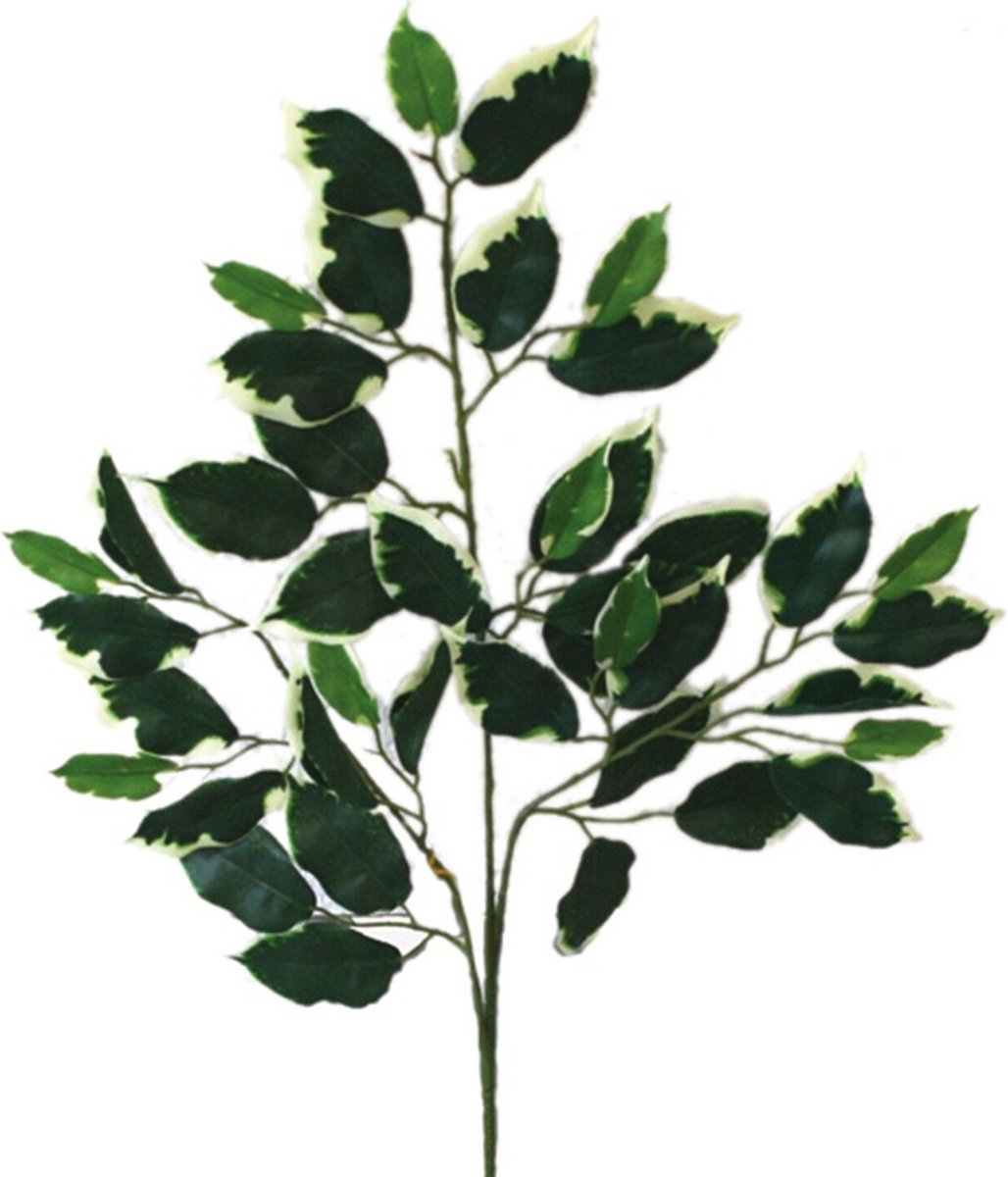 MICA DECORATIONS FICUS TAK GROEN BONT - L62CM 145789 WHITEGREEN