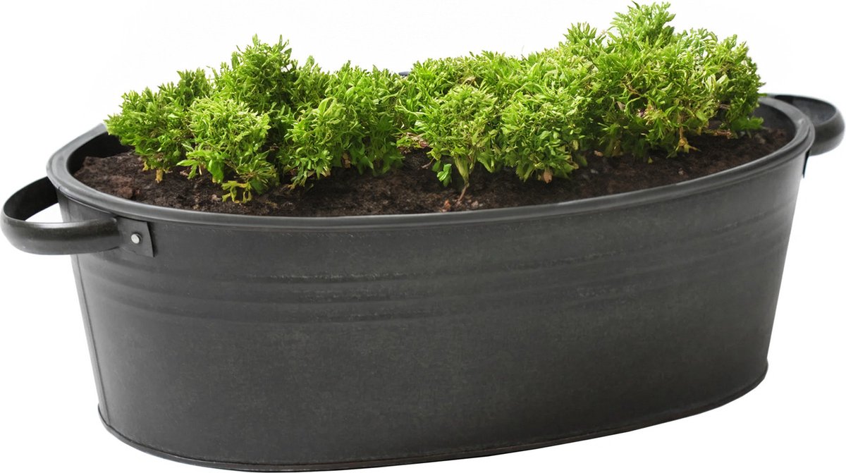 Goedkoopste Mega Collections Teil/plantenpot/bloempot Farmer - ovaal - zink - zwart - L25 x D18 X H11 cm