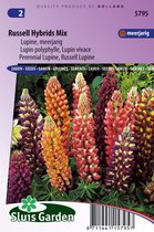 Sluis Garden - Lupinus Russell Hybrids Mix