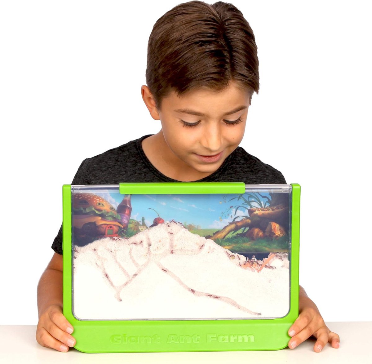 Mierenboerderij – Mierenkolonie – Uitbreid Baar Mierenhotel – Mierennest – Antquarium – Ant Farm – Antfarm - Experimenteerset