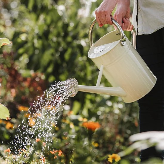 Plant Water Gieter 45 Liter Crème Gegalvaniseerde Stalen Kan - Klassieke Engelse Stijl Met 2 Handgrepen Watering Can