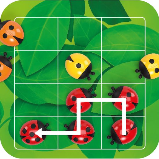 Détail du plateau de jeu LogiBugs avec des coccinelles rouges et jaunes et une ligne blanche indiquant un chemin.