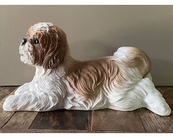 BEELD HOND BOOMER - BRUIN/WIT.
