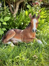 Poulain cheval moyen 23 cm de haut - cheval - polyester - polyrésine - polystone - plastique de haute qualité - figurine décorative - intérieur - accessoire - pour l'intérieur - pour l'extérieur - cadeau - figurine de jardin - statue de jardin