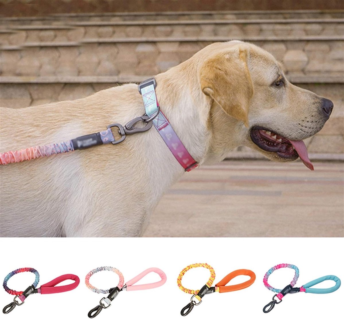 Hondenriem Intrekbare hondenriem - Stijlvolle Pet Riemen Running Training Tractie Touw - Sterke Hondenriem (120-150) cm) Rood/groen thumbnail 2