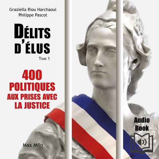 Délits d’élus - cover