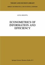 Theory and Decision Library B- Econometrics of Information and Efficiency