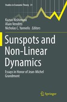 Studies in Economic Theory- Sunspots and Non-Linear Dynamics