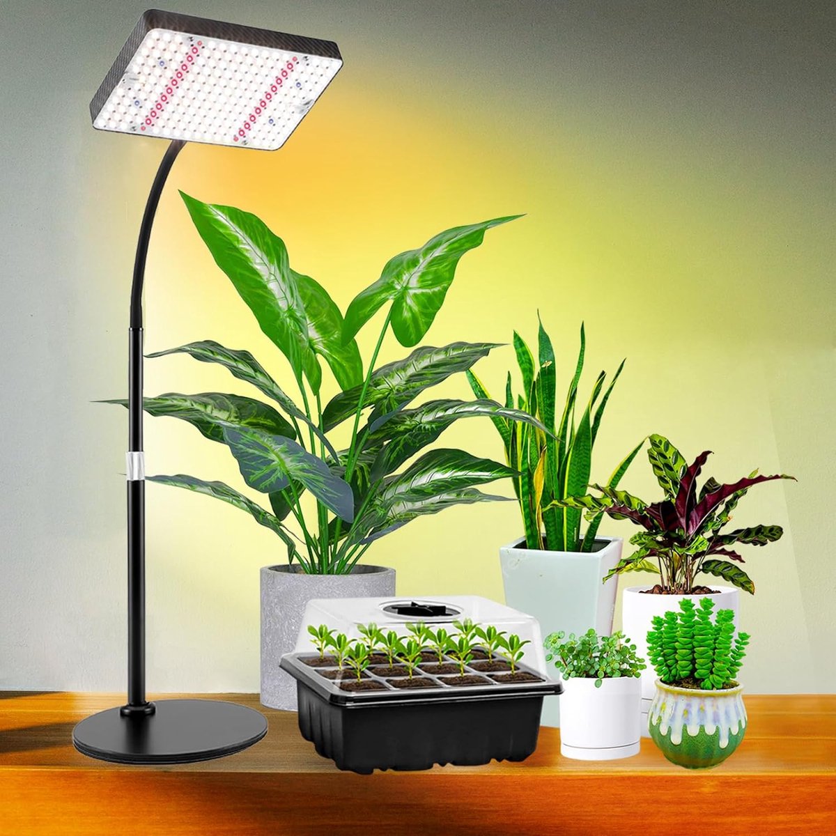 FECiDA 65 Watt LED groeilamp dimbaar, 2024 Beste plantenlamp voor kamerplanten Volledig spectrum