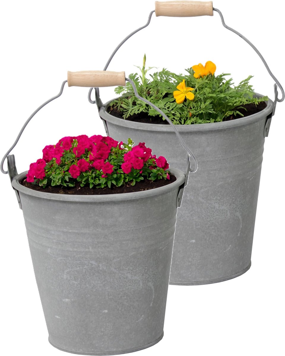 Goedkoopste Mega Collections Emmer/plantenpot/bloempot Eddy - 2x - zink - zilver - D18 X H18 cm