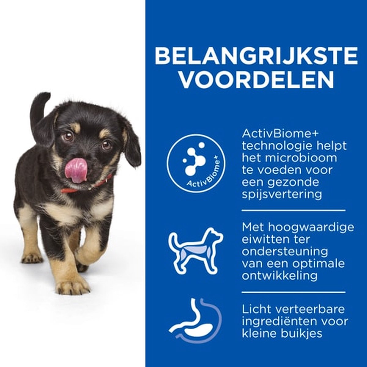 Hill's Perfect Digestion Medium Puppyvoer met Kip & bruine Rijst 2.5 kg thumbnail 3