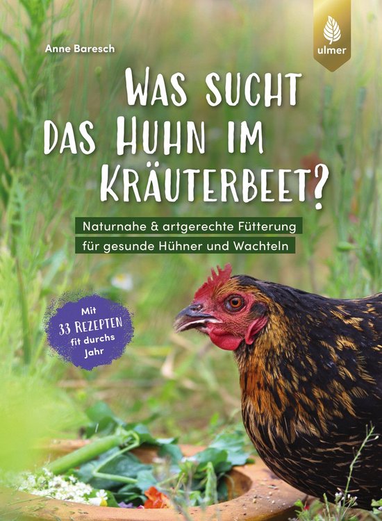 Was sucht das Huhn im Kräuterbeet? - cover