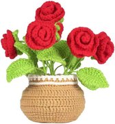 Ensemble de crochets tout-en-1 | Kit de crochet de roses | Meilleur cadeau de fête | Instruction vidéo en anglais | bricolage fait main | Kits de crochetage pour débutants