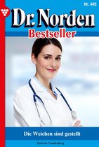 Dr. Norden Bestseller 495 - Die Weichen sind gestellt