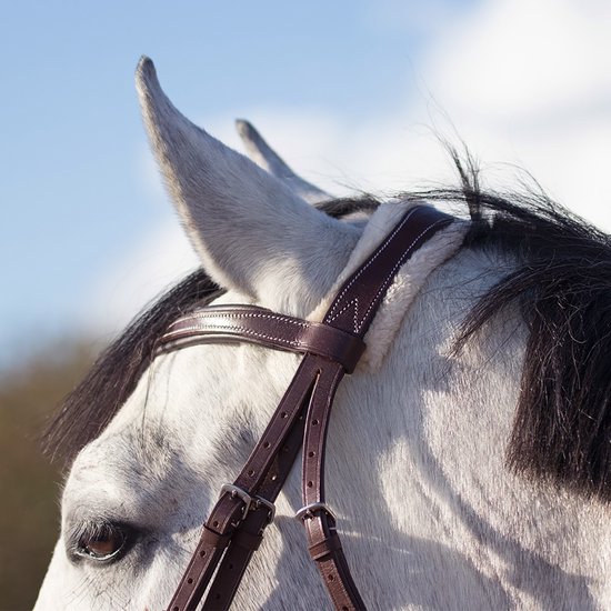 Bruin leren hoofdstel met witte stiksels op het hoofd van een grijs paard.