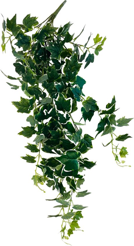 HEM Klimop (Hedera Helix Bont) Kunstplant Volle Hangplant - Kunstplant 100 cm - Levensechte Kunstplant - Modelerende stevige hangstreng