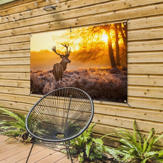 Een tuinposter met een hert in de ochtendzon hangt aan een houten muur naast een stoel.