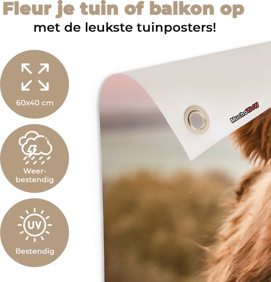 Ronde cirkels met pictogrammen voor weerbestendigheid en UV-bescherming, naast een tuinposter van een Schotse hooglander.