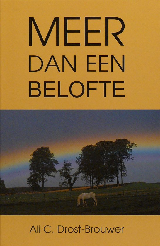 Meer dan een belofte roman - cover