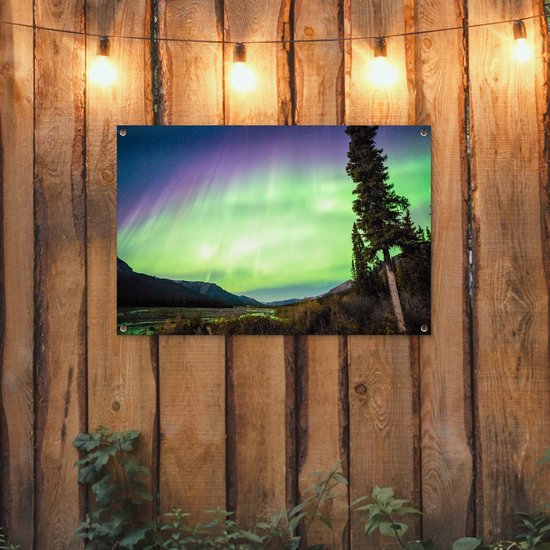 Posters de jardin Aurores Boréales - Arbre - Berg - Nature - 90x60 cm