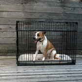 Lucky Dog - Bench avec porte coulissante et réducteur - 24 pouces - 61x46x53cm - cage métallique - Caisse pour chien - Accès 2ème porte latérale - Stabilisateurs d'angle brevetés - Plateau amovible - Pieds en caoutchouc - Poignée de transport