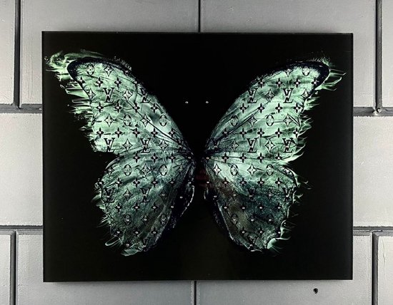Lv Vlinder met staintjes schilderij op plexiglas 50x40cm