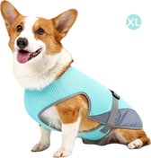 Livano Koelvest Hond - Koelvesten - Verkoeling - Honden Kleding - Hondenkleding - Duurzaam - Blauw - Maat XL