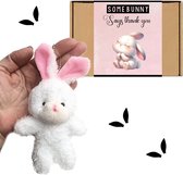 Cadeau knuffel konijntje somebunny loves you | cadeaupakketje familie, vrienden, valentijn, juf of geliefde