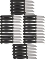 Set van 30 Zwarte Schilmesjes - Roestvrij Staal en Plastic - Keukenaccessoires voor Koken & Klussen | 16cm Lang Messenset