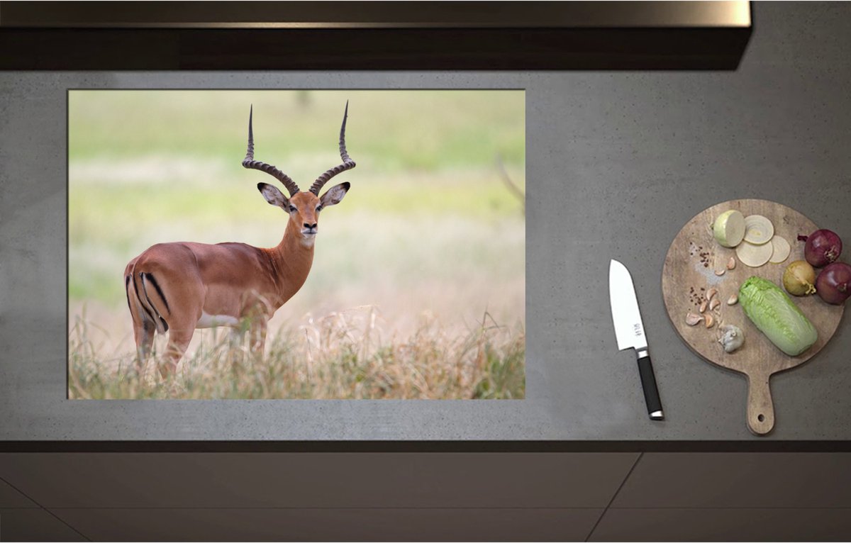 Inductieplaat Beschermer - Aankijkende Impala lopend door Groene Grassen - 80x55 cm - 2 mm Dik - Inductie Beschermer - Bescherming Inductiekookplaat - Kookplaat Beschermer van Zwart Vinyl
