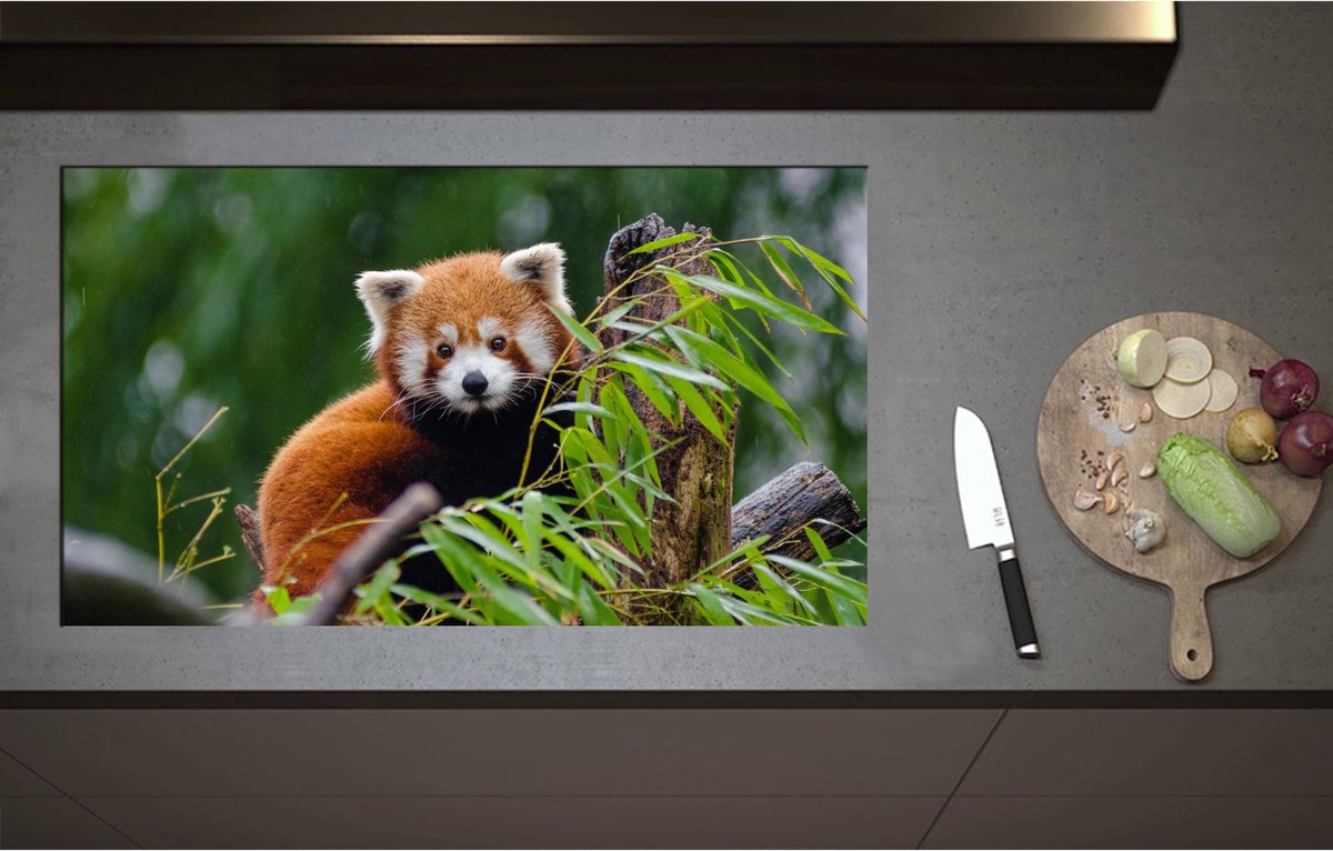 Inductieplaat Beschermer - Aandoenlijke Rode Panda op Boomstam met Groene Planten - 90x52 cm - 2 mm Dik - Inductie Beschermer - Bescherming Inductiekookplaat - Kookplaat Beschermer van Zwart Vinyl