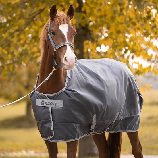Halster Bucas Dublin Iron gate/Silver - F/S | Zilver | Halstertouw paard Halster Bucas Dublin Iron gate/Silver - F/S | Zilver | Halstertouw paard
